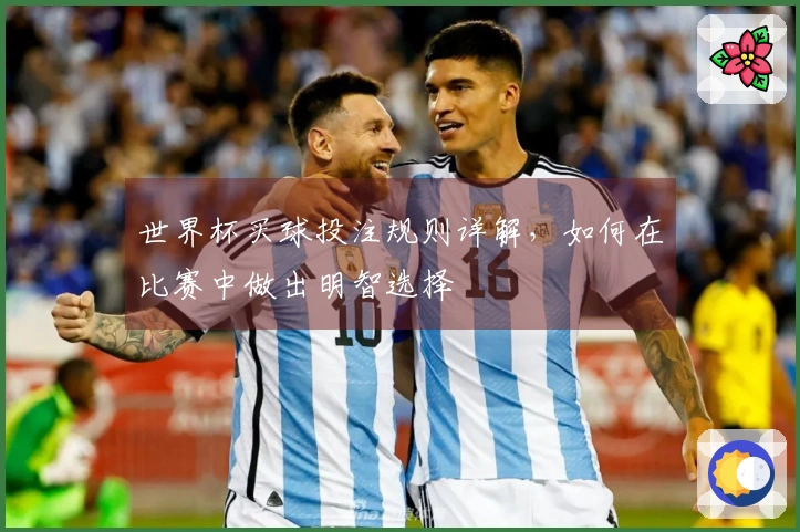 世界杯买球投注规则详解，如何在比赛中做出明智选择