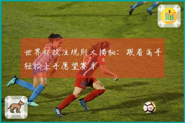 世界杯投注规则大揭秘:跟着高手轻松上手愿望赛季