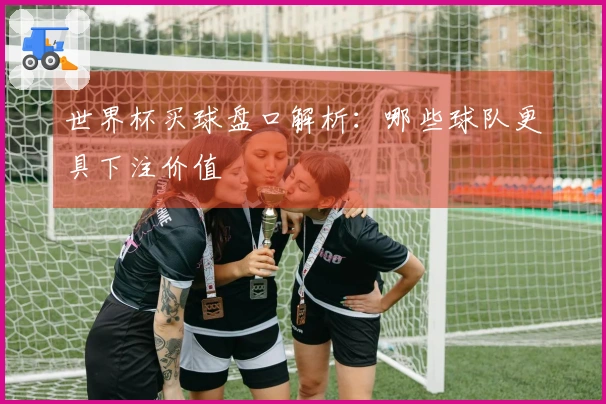 世界杯买球盘口解析：哪些球队更具下注价值