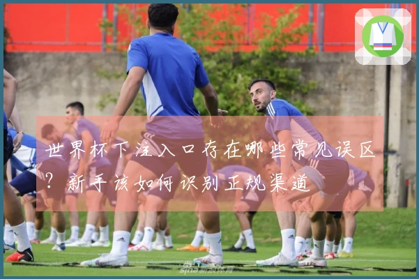 世界杯下注入口存在哪些常见误区？新手该如何识别正规渠道