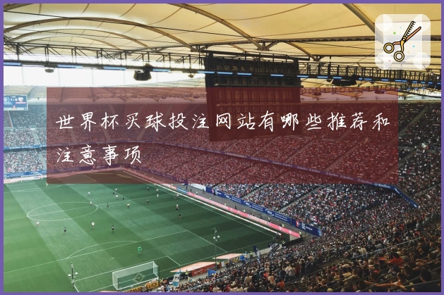 世界杯买球投注网站有哪些推荐和注意事项