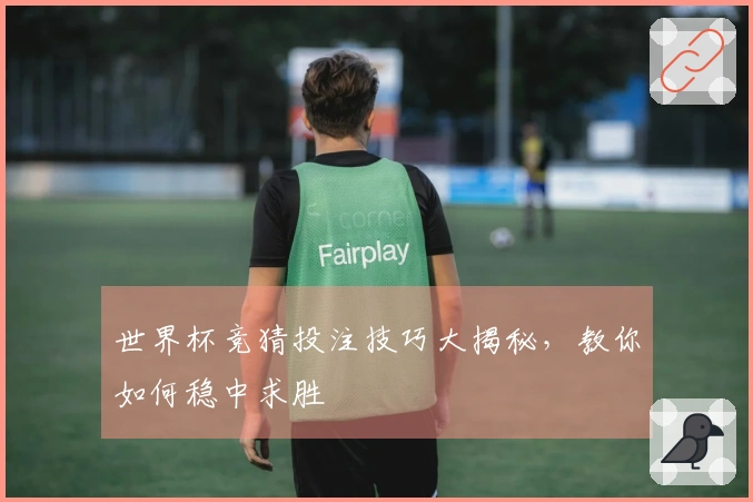 世界杯竞猜投注技巧大揭秘,教你如何稳中求胜