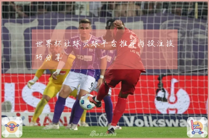 世界杯让球买球平台推荐与投注技巧分享