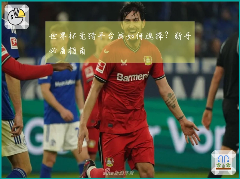 世界杯竞猜平台该如何选择？新手必看指南