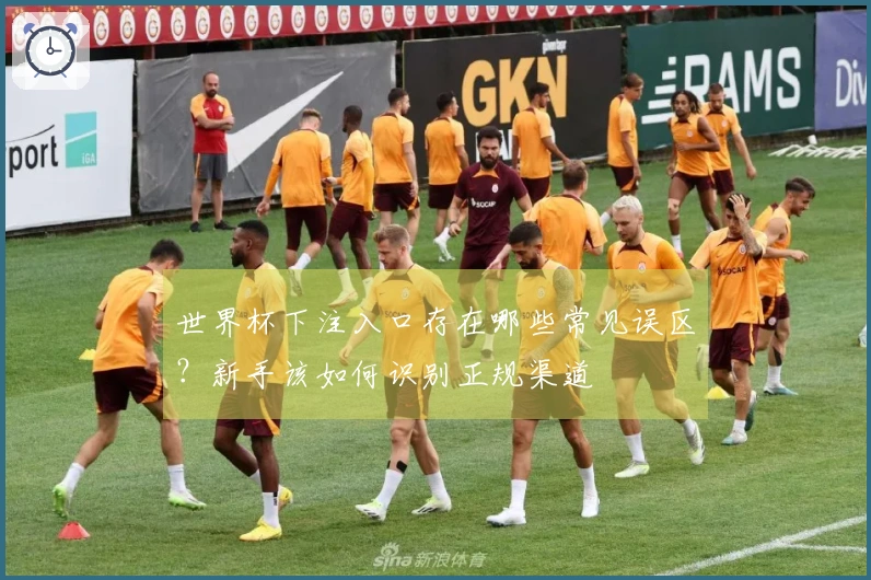 世界杯下注入口存在哪些常见误区？新手该如何识别正规渠道