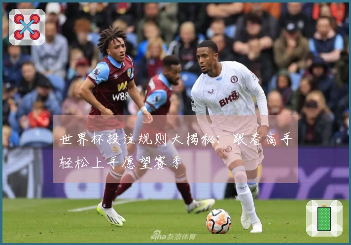 世界杯投注规则大揭秘：跟着高手轻松上手愿望赛季