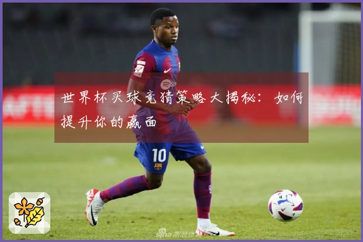 世界杯买球竞猜策略大揭秘：如何提升你的赢面
