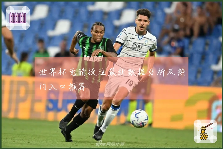世界杯竞猜投注最新数据分析及热门入口推荐