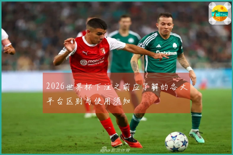 2026世界杯下注之前应了解的各大平台区别与使用须知