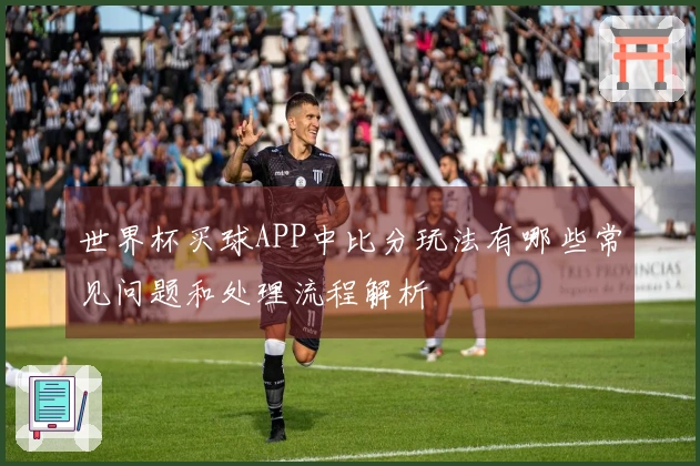 世界杯买球APP中比分玩法有哪些常见问题和处理流程解析