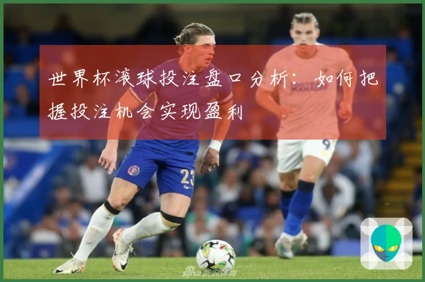 世界杯滚球投注盘口分析：如何把握投注机会实现盈利