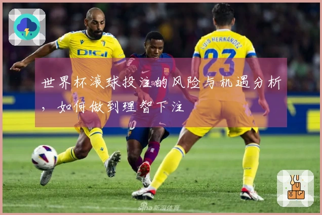 世界杯滚球投注的风险与机遇分析,如何做到理智下注