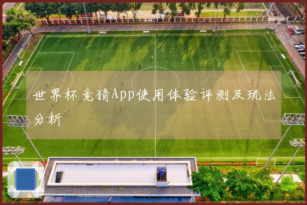 世界杯竞猜App使用体验评测及玩法分析